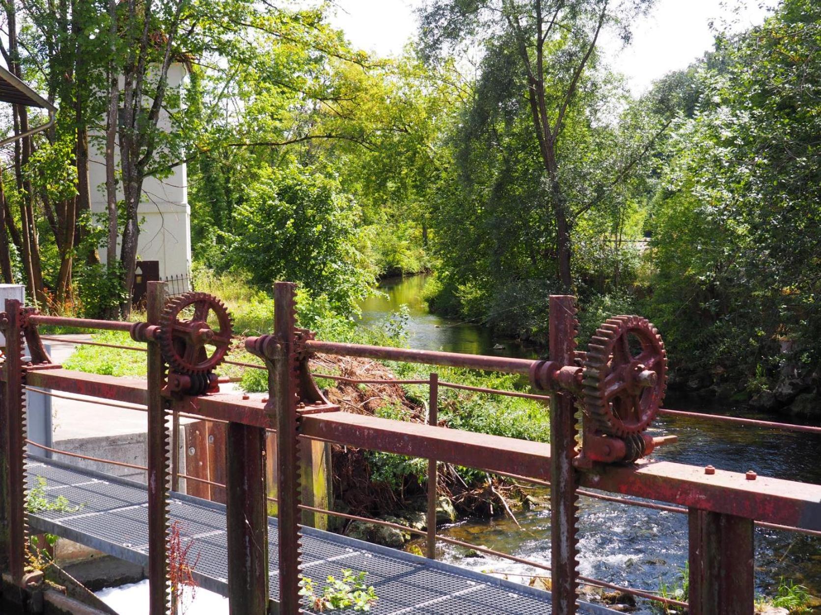 Ferienwohnung Pension Waldblick Гайденгайм-ан-дер-Бренц Екстер'єр фото
